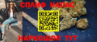 индика Тара