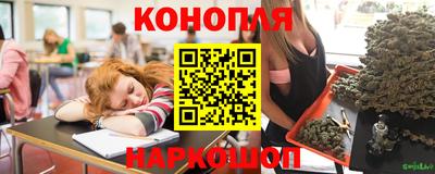 индика Тара
