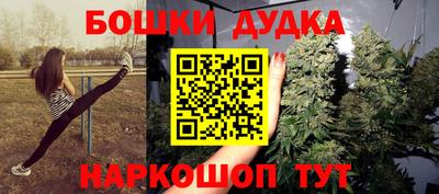 индика Тара