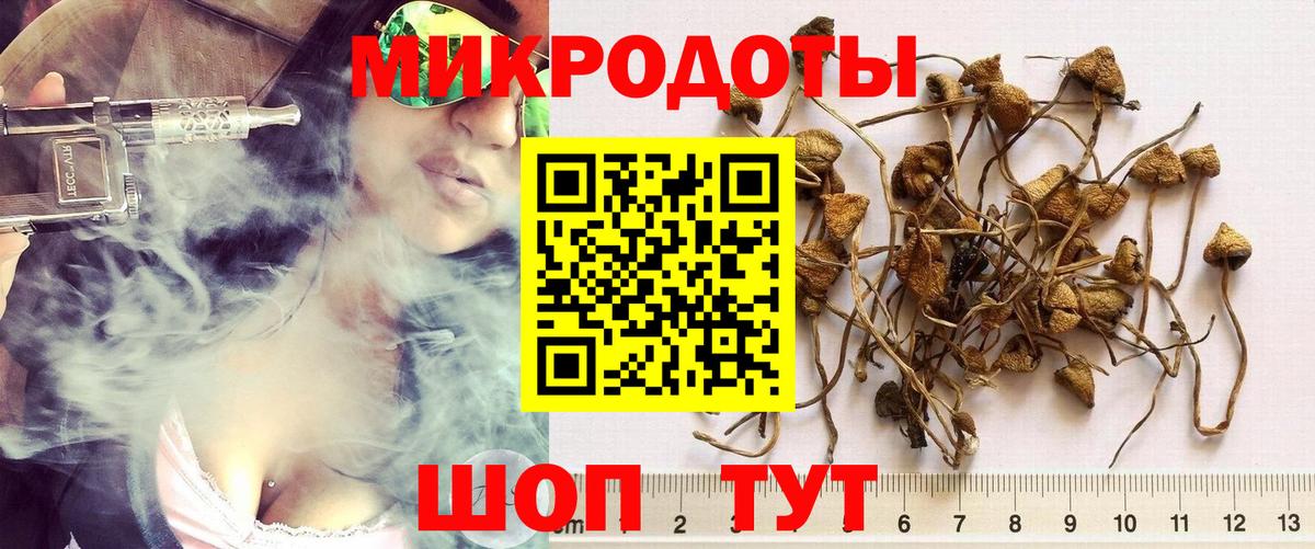 Псилоцибиновые грибы Psilocybine cubensis  Вход с VPN  Североуральск 