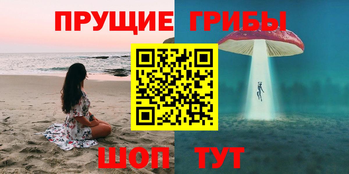 Псилоцибиновые грибы Psilocybine cubensis Североуральск